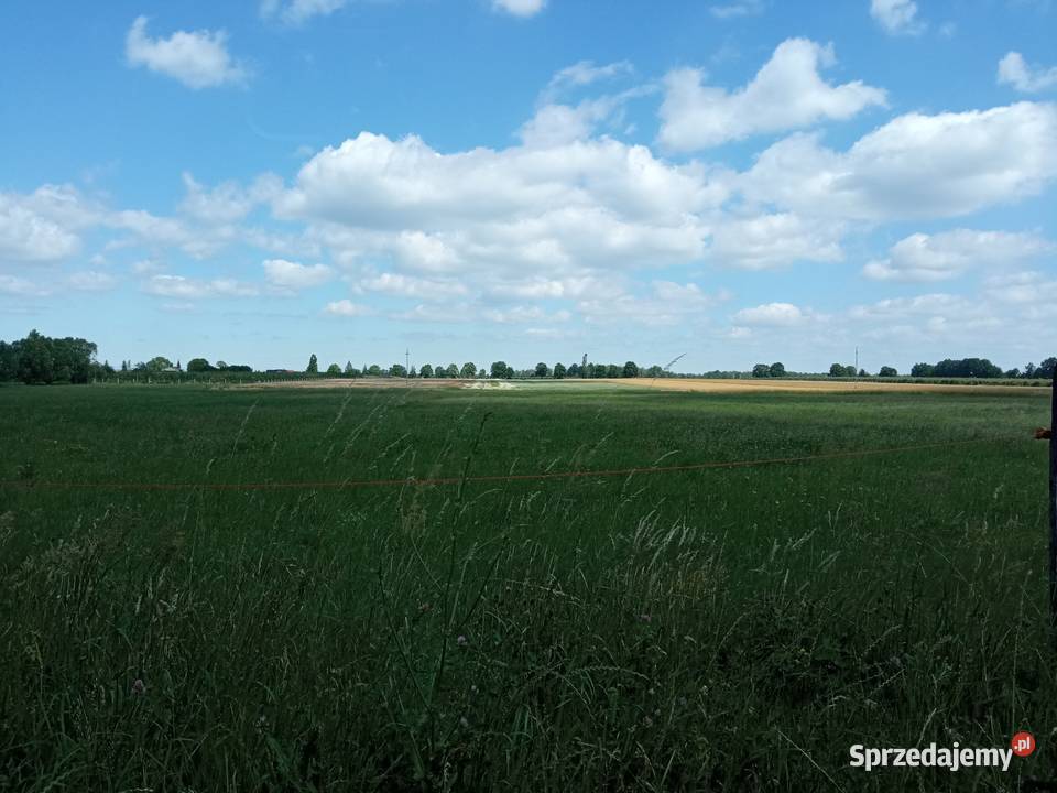 Sprzedam działkę rolną 1 ha Czepielin Kolonia Czepielin-Kolonia
