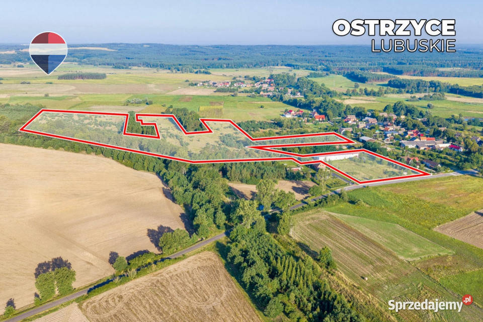 Działka 99100 m budynek prodmagazyn mieszkanie lubuskie Ostrzyce