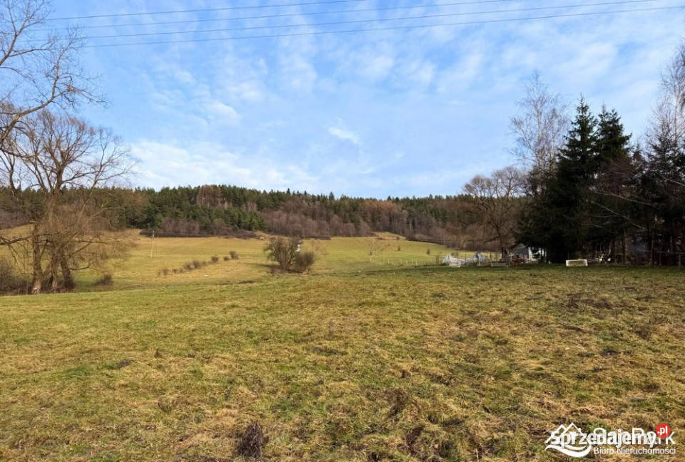 Działka 26273m2 Ustrzyki Dolne sprzedam