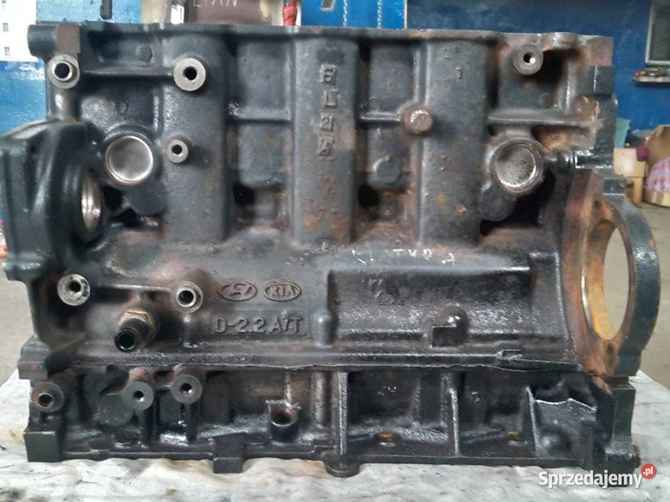 Blok silnika Hyundai Santa fe D4EB 22 crdi Lubaczów