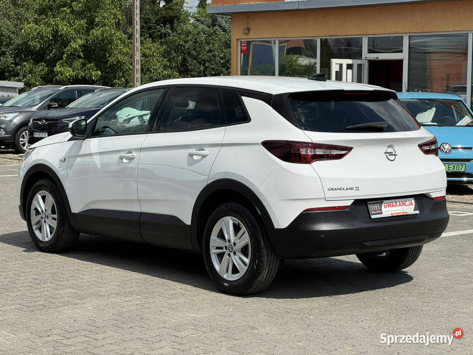 Opel Grandland X FILMBezwypadkowyNowy Rok produkcji 2020 Suchy Las