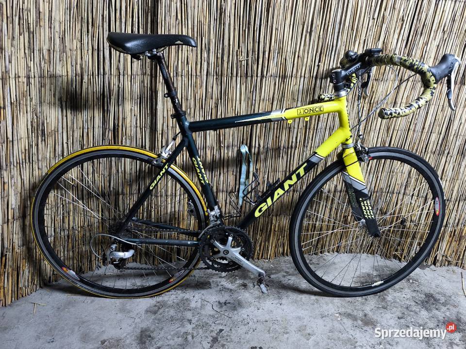 Rowery szosowe MMR Gazelle Giant Primorosso Katowice