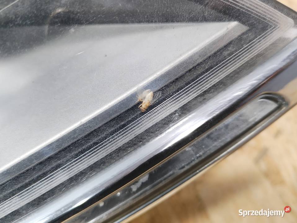 Lampa Przednia Prawa LED Lancia Delta III 844 wielkopolskie Pleszew