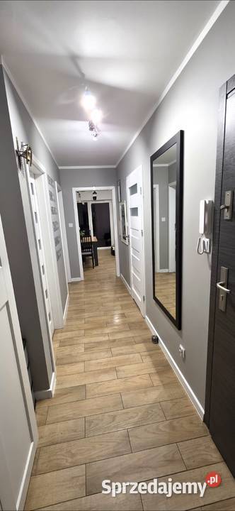 Sprzedam mieszkanie z ogrodem Lipa Piotrowska 3 piętra i więcej Wrocław