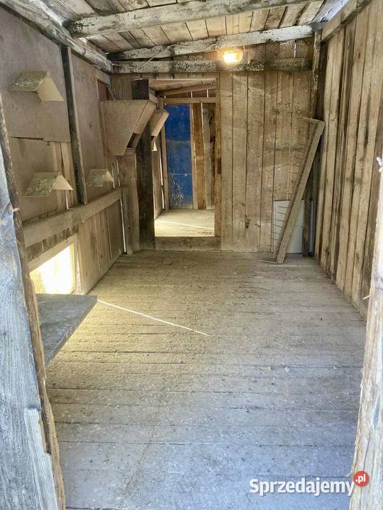 Gołębnik śląskie Kuchary sprzedam