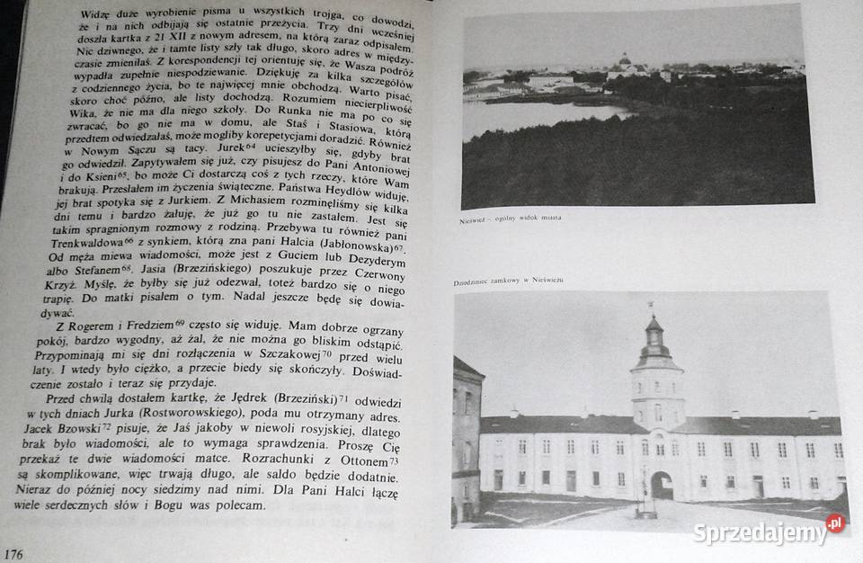 Łuna Warszawy Stanisław Rostworowski Kultura i Rozrywka Chełm