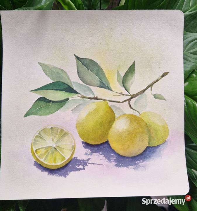 Oryginalne malarstwo akwarelą Warszawa sprzedam