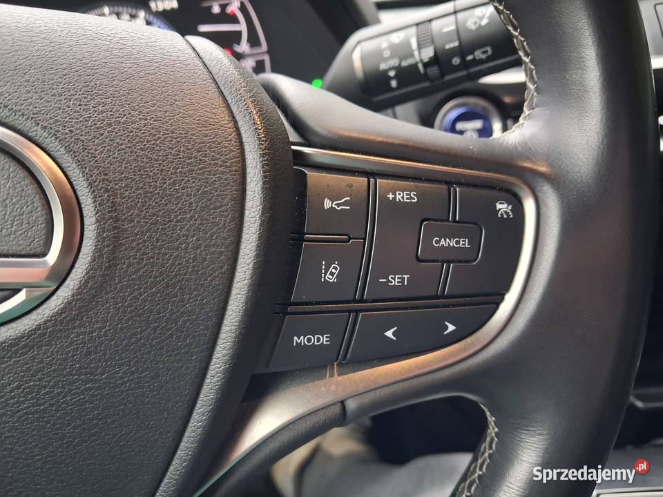 Lexus UH250H Kobyłka