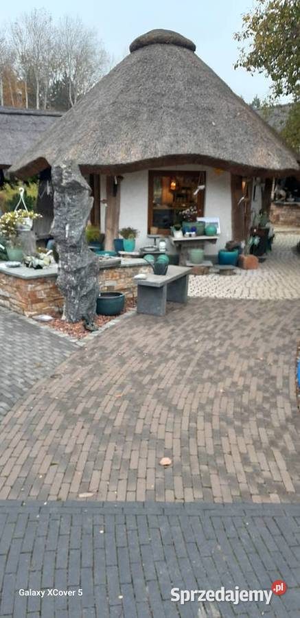 Strzecha Altany Trzebnica