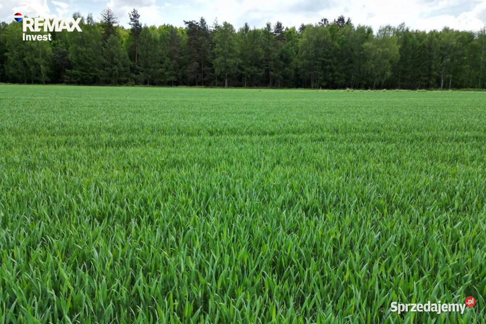 Piękna działka Kiczyce 1090 m Nieruchomości śląskie