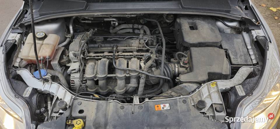 Fokus 20112012 1600 zwykła benzyna Super stan Wałbrzych