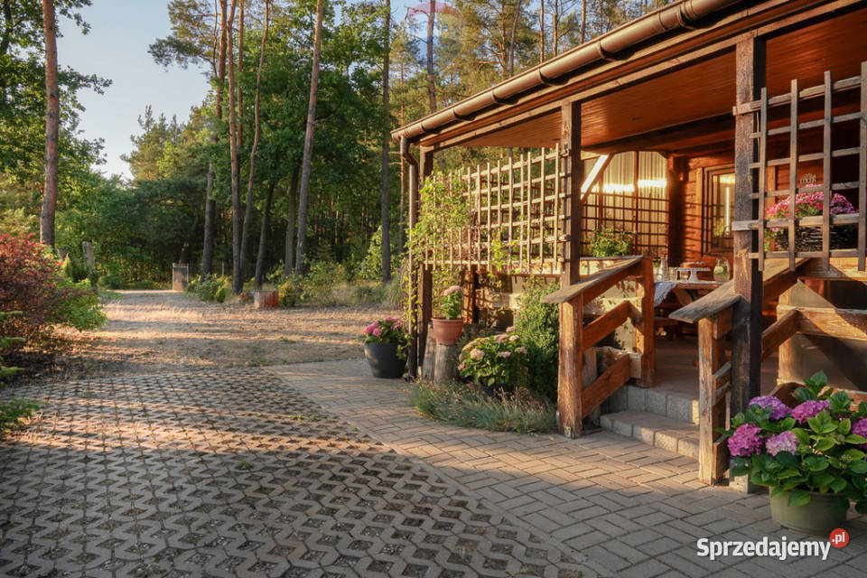 Działka leśna z domkiem na sprzedaż Rozniszew sprzedam