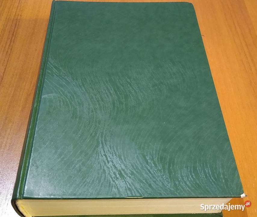 Leksykon matematyczny Kordos Skwarczyński Rok wydania 1993 pomorskie
