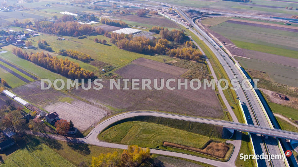 Grunt Piotrków Trybunalski Wiatraczna 26000m2 telefon łódzkie sprzedam