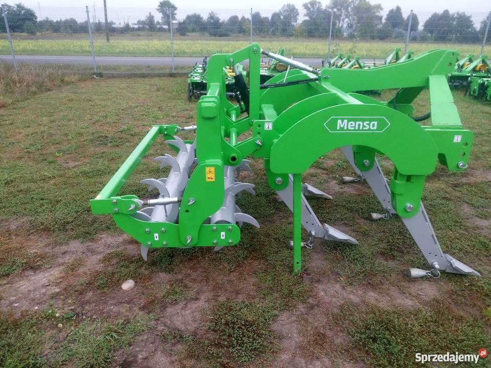 Głębosz 2 belkowy zrywalny z walem hydraulicznie łódzkie Kozenin