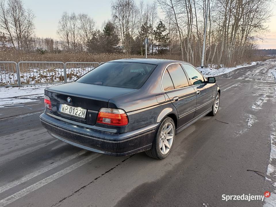 BMW E39 535i 2002R Exclusive 245KM Wielgolas Brzeziński