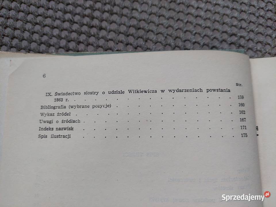 Stanisław Witkiewicz teoretyk sztuki Wanda twarda z obwolutą sprzedam