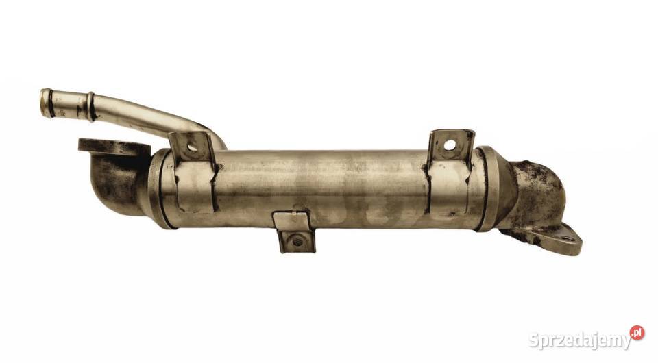 CHŁODNICA CHŁODNICZKA SPALIN EGR VW PASSAT B5 FL osobowe Działoszyce