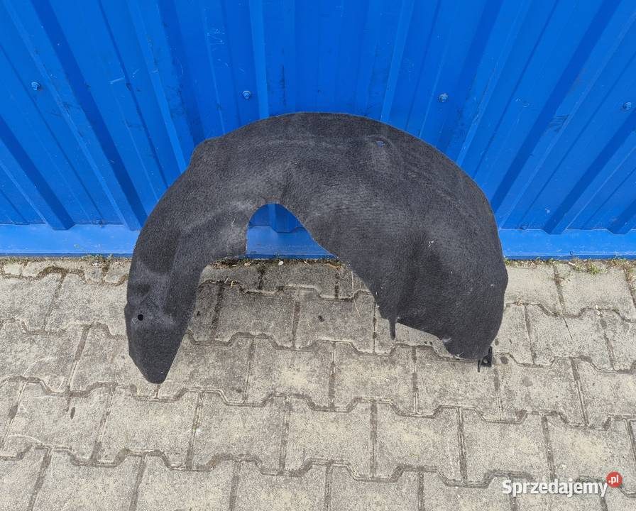 NADKOLE TYŁ LEWY TYLNE LEWE BMW E84 X1 2990087 Działoszyce