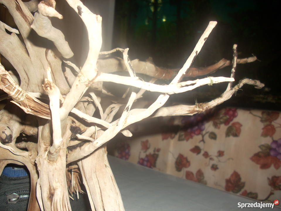 Duży korzeń do akwariumterrarium Pozostałe Kraków