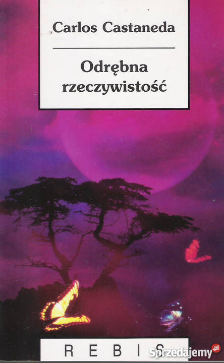 Odrębna rzeczywistość C Castaneda Rok wydania 1996 Puławy