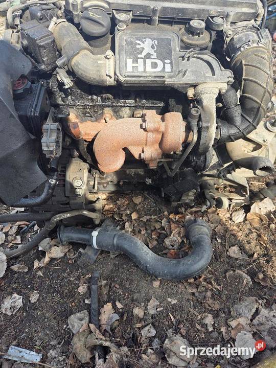 Silnik kompletny Peugeot 206 14 Hdi 8HZ 10FD95 dolnośląskie sprzedam