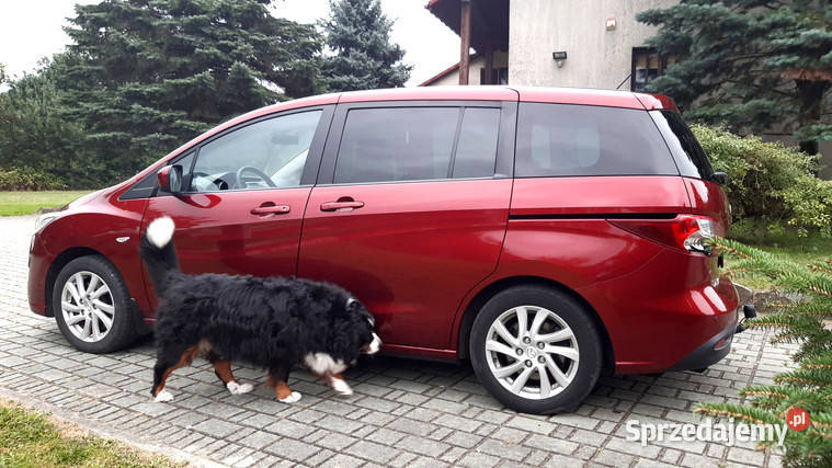 Mazda 5 7 osobowa manualna małopolskie Żabno
