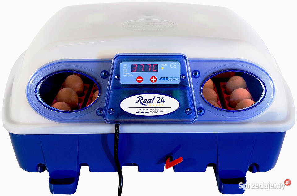 INKUBATOR półautomatyczny REAL 24 Borotto Italia Rzeszów