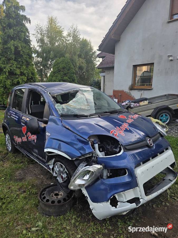 Fiat Panda 10 71 2023r Zgorzelec