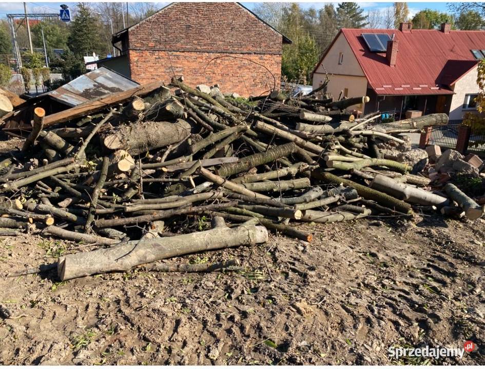 Drewno opalowe na opal jesion Rzeszów