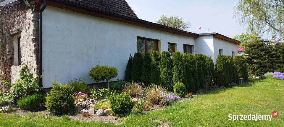 Dom w otoczeniu Natury ogródek sprzedam