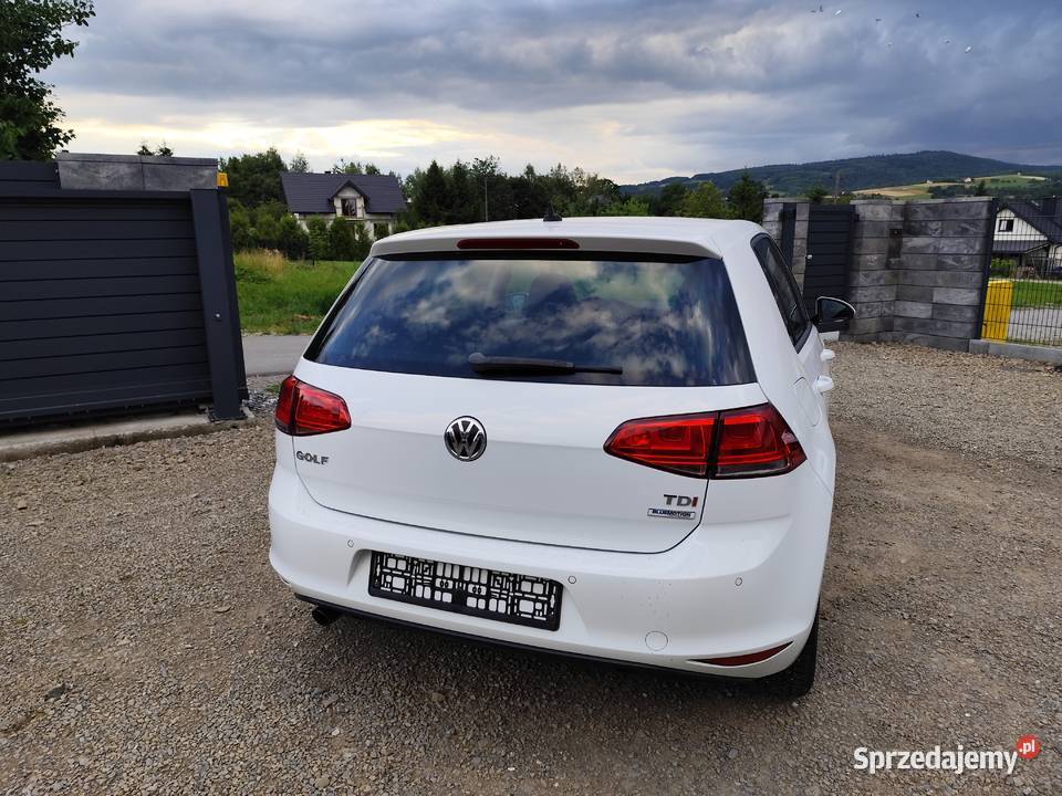 Volkswagen Golf VII 16 TDI 110 Gorlice