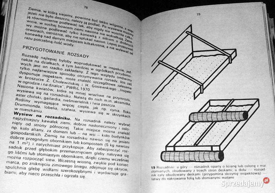 Kwiaty w ogródku Izabela Kiljańska Rok wydania 1979