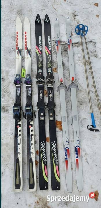 Narty Narty Wrocław