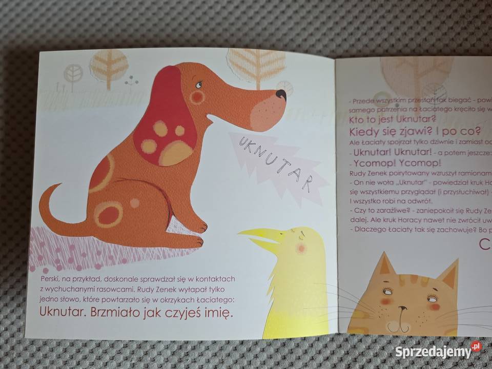 Zwariowana kałuża Danuta Parlak Książki dla dzieci Kraków sprzedam