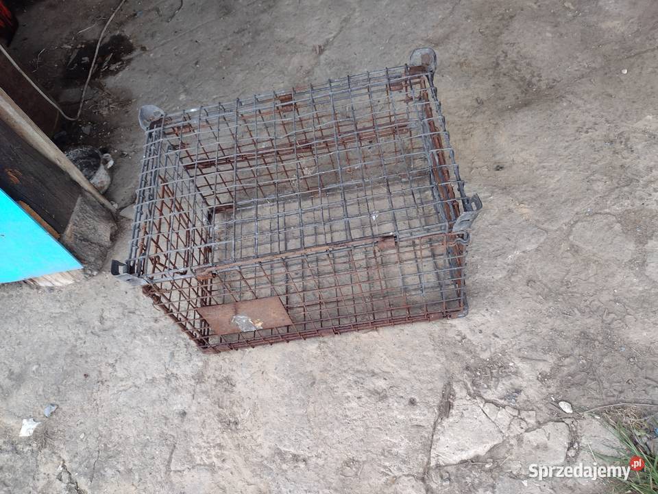 Stara skrzynka PRL Gołcza