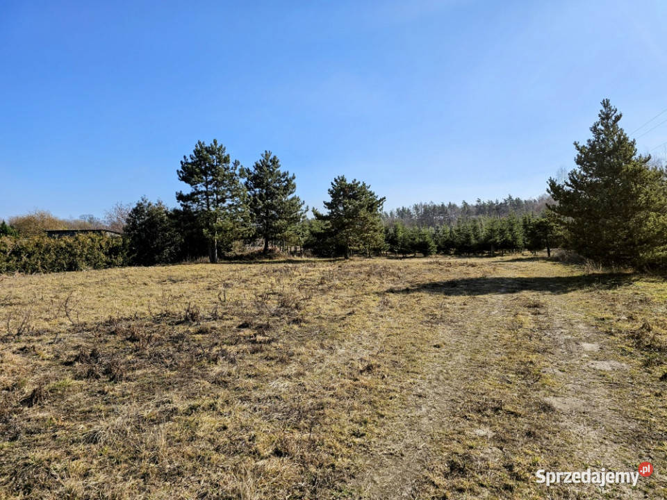 Działka budowlana 8600 m2 w klimatycznej Mszczonów