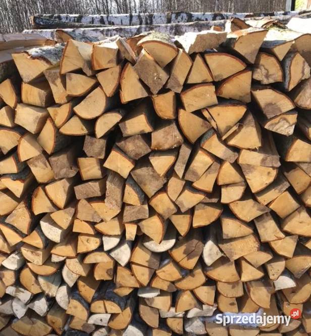 Różne rodzaje drewna Niegowa i Opał