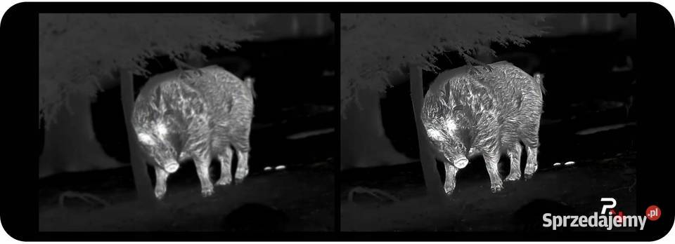 Luneta Termowizyjna Celownik Termowizyjny NOCPIX Poznań