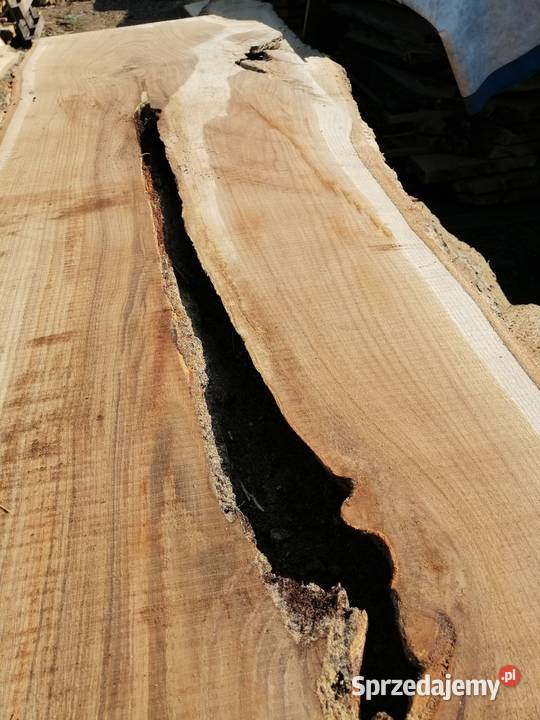 monolit dąb 245x65x65 stolik kawowy live edge Przysucha