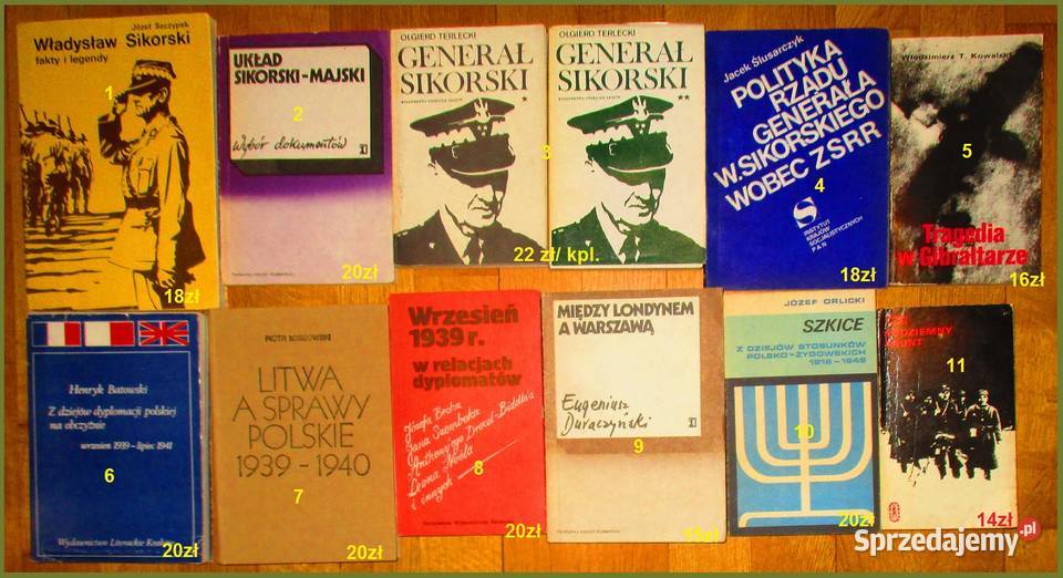 Dziennik Diabła Hitler wojna historia Guderian Książki naukowe i popularnonaukowe Łódź