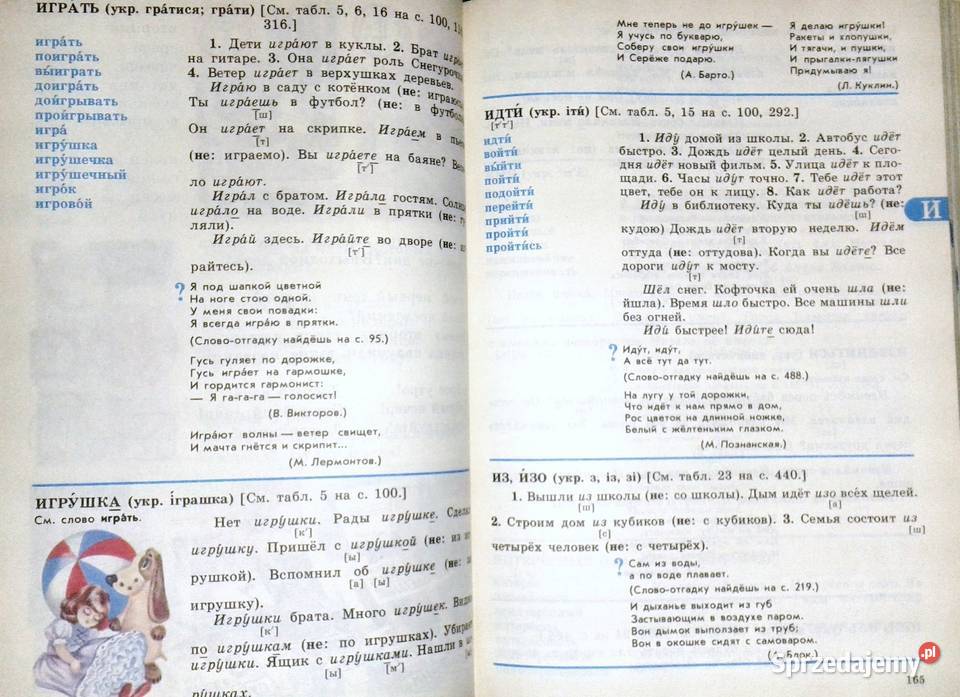 Russkij Jazyk w kartinkach Slowar Język rosyjski lubelskie