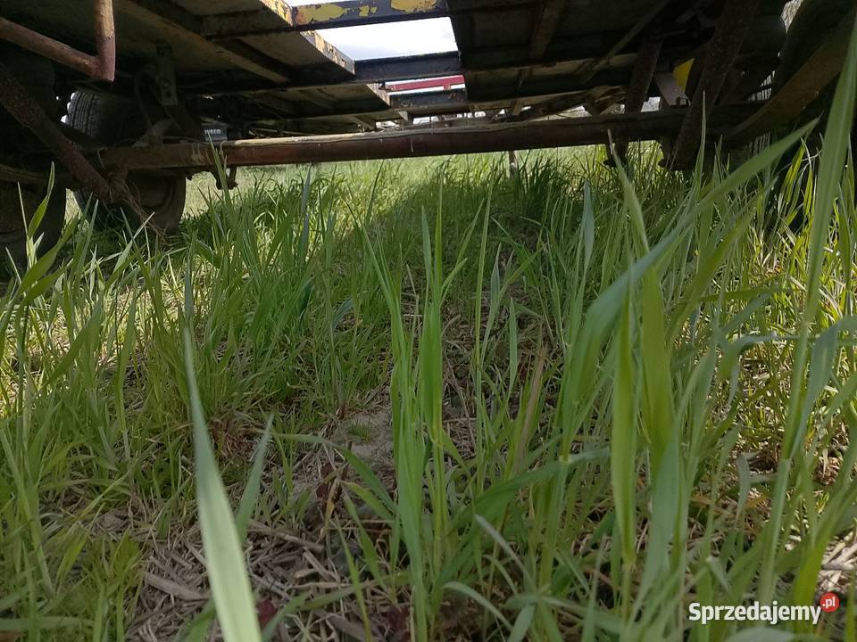 Przyczepka Laweta Lawety