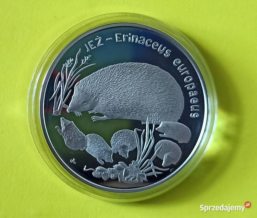 20 Jeż 1996 r Wrocław sprzedam