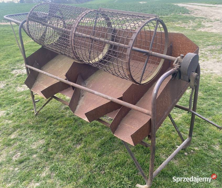 Sortownik do ziemniaków Łasin