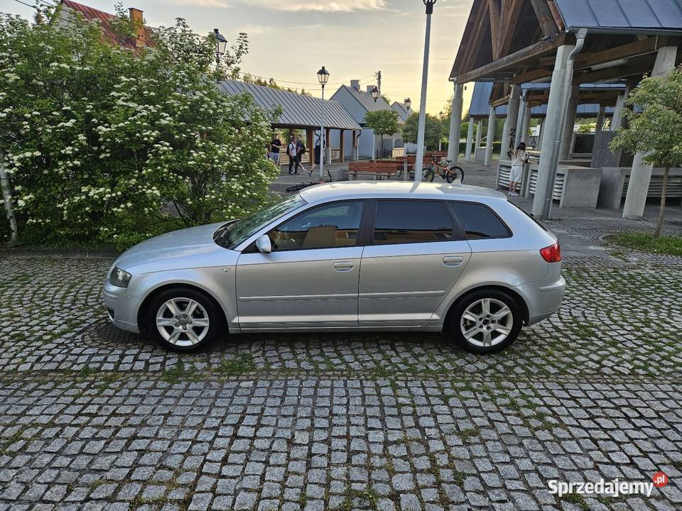 Audi A3 2006r 20Tdi 4x4 Quattro Klimatronik Ryglice