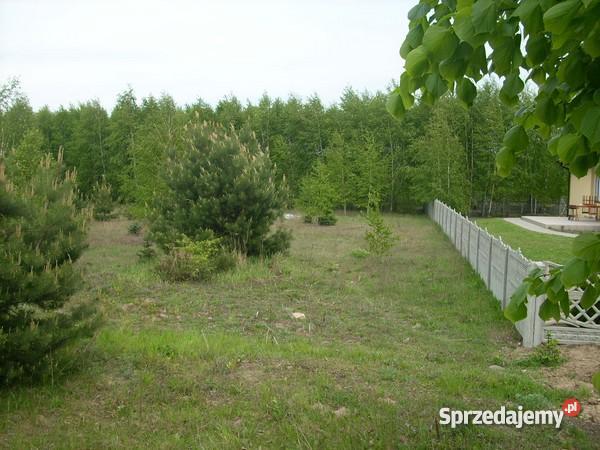 DZIAŁKA BUDOWLROLDUŻA ZADRZEWIONA 11200m Szymaki sprzedam