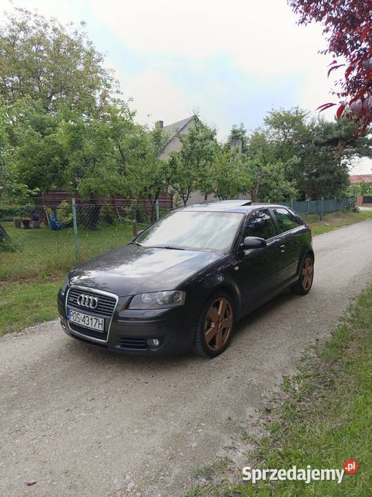 Audi a3 8p 20TDI 170 DSG Sline full