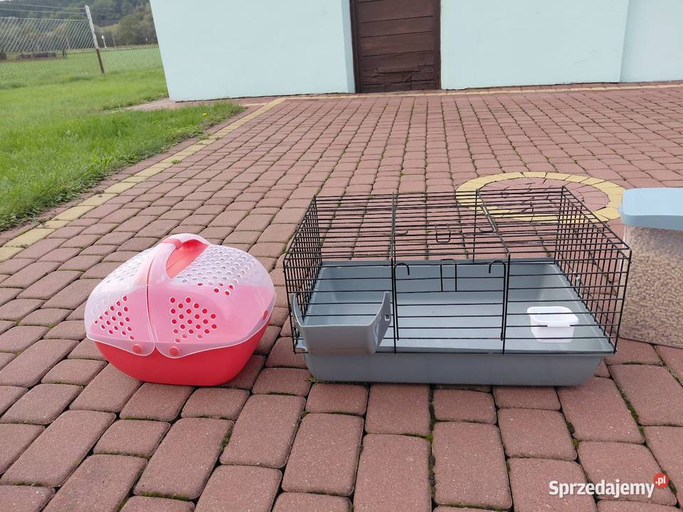 Klatka swinka morska krulik
