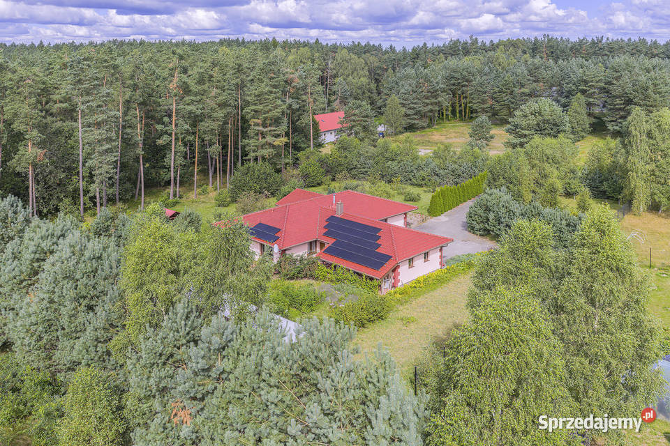 Dom na działce 7500m2 w Dąbrówce k Wejherowa Dąbrówka